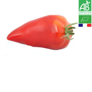 Tomate Cornue des Andes Bio De Population