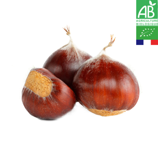 Châtaigne Bouche de Bétizac Bio