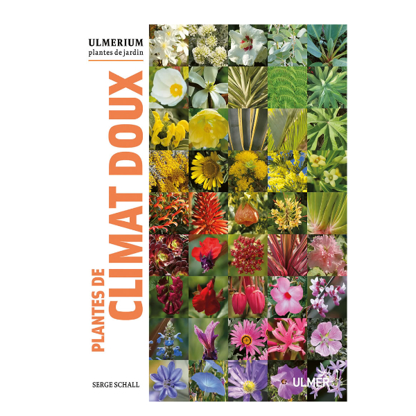 Plantes de Climat Doux Ulmerium