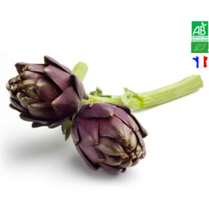 Artichaut Violet Bio
