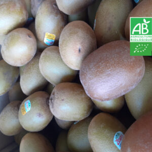 Kiwi Jaune Bio 1 KG