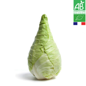 Chou Pointu Bio Pièce