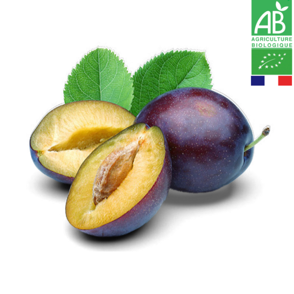 Prune Quetsche Alsace Bio 1kg