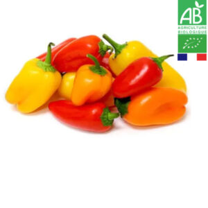 Poivrons Mini-Doux Bio