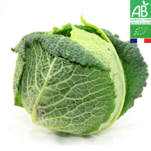 Choux Vert Frisé Bio de la Baie du Mont-Saint-Michel à La Pièce