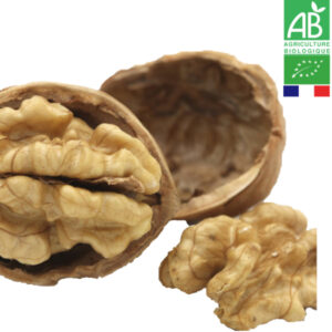 Noix En Coque Fraîche Lara Périgord Bio