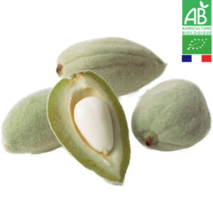 Amande Fraîche Bio 1kg