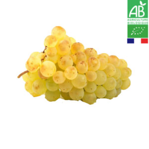 Chasselas de Moissac AOP Bio 1kg