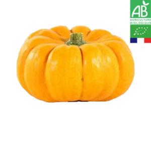 Courge Jack Be Little Bio