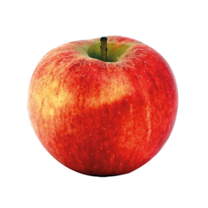 Pomme Elstar Bio
