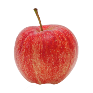 Pomme Gala Bio