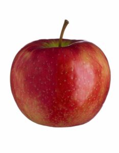 Pomme Honey Crunch Bio