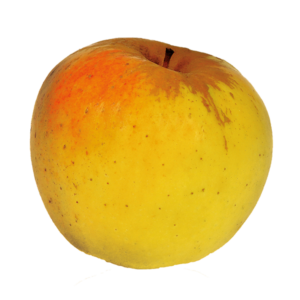 Pomme Opale Bio