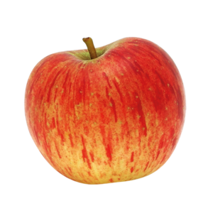 Reine des Reinettes Bio