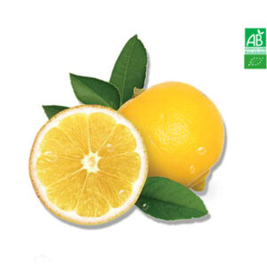 Bergamote Bio Italie