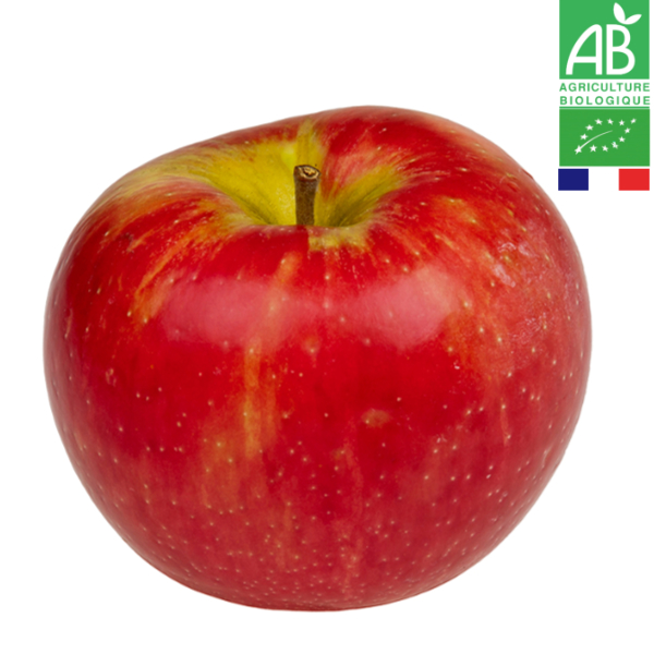 Pomme Pixie Crunch Bio 1kg