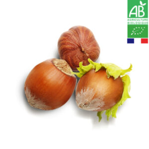 Noisette Coque de Corse Bio