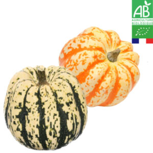 Courge Patidou Bio