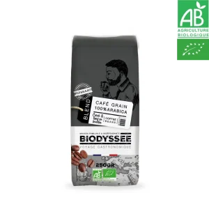 Café 100% arabica grain corsé 12x250g Biodyssée