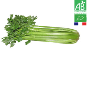 Céleri Branche Bio 1Kg