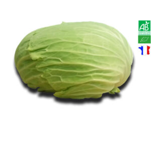 Choudou Bio Chou plat