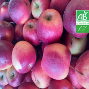 Pomme Story Bio 1 kg