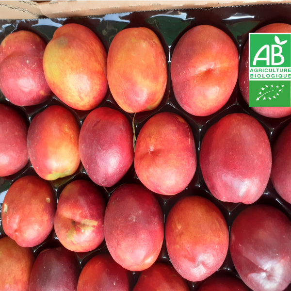 Nectarine Jaune Bio 1kg