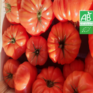 Tomate Marmande Bio (Tomate de Population Non Hybride) 1KG