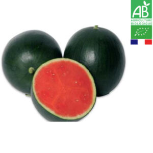 Pastèque Bio à la Pièce (environ 2.5kg)