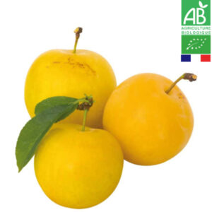 Prune Jaune Bio Golden Japan