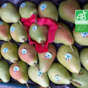Poire Guyot Bio 1 kg