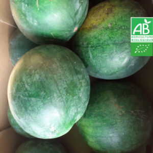Pastèque Bio à la Pièce (environ 1.5kg)