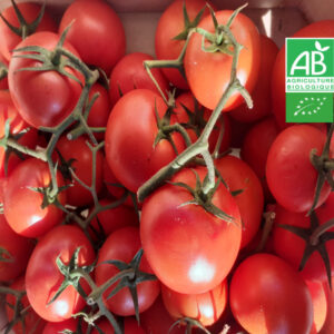 Tomate Ronde Bio en Grappe 1kg