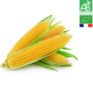 Epi de Maïs Doux Bio (Pièce)