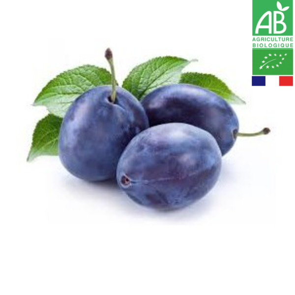 Prune d’Ente Bio 1kg Prune d'Ente Bio 1kg