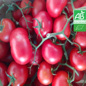 Tomate Cerise Bio en Grappe