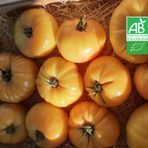 Tomate Ronde Générose Bio (Jaune) 1KG