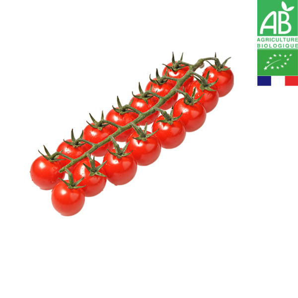 Tomate cerise bio en grappe