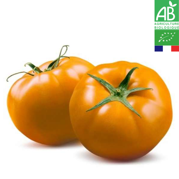 Tomate ronde générose Orange