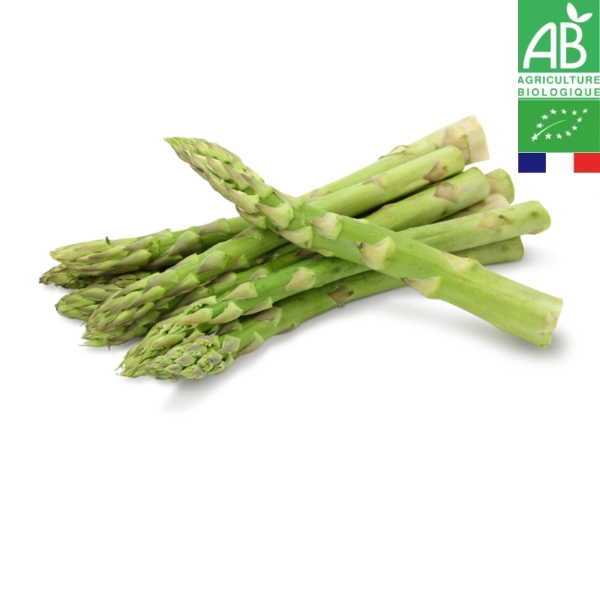 Asperges Vertes Bio (Botte de 500gr)