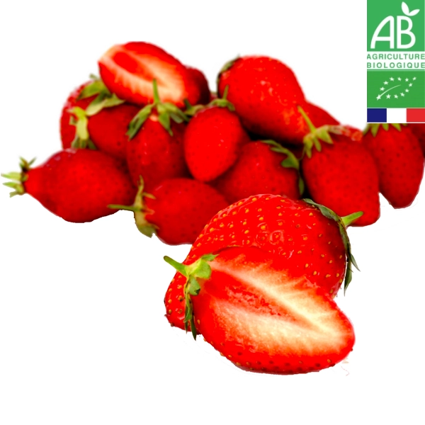 Barquette de Fraises Bio