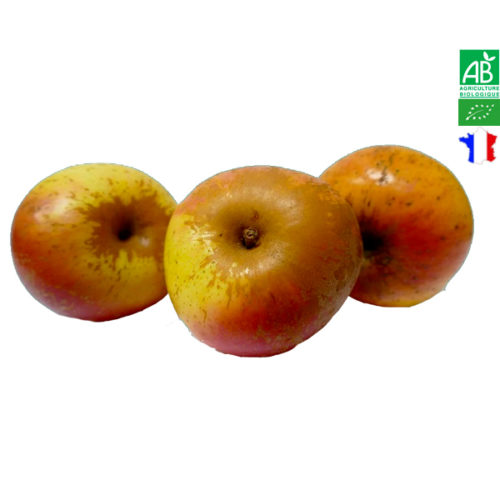 Pomme Reinette d'Armorique Bio