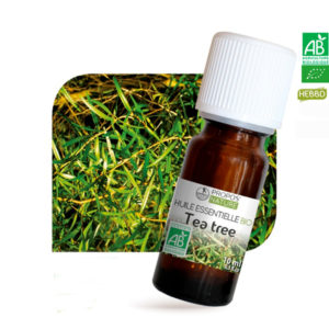 Huiles essentielles Bio Tea Tree (Arbre à Thé) Huiles essentielles Bio Tea Tree (Arbre à Thé)