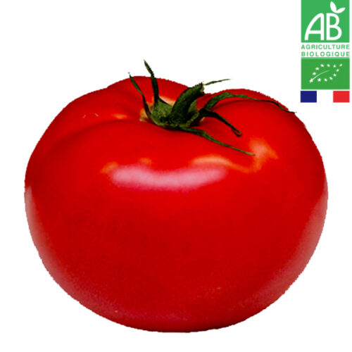 Tomate Ronde Générose Bio