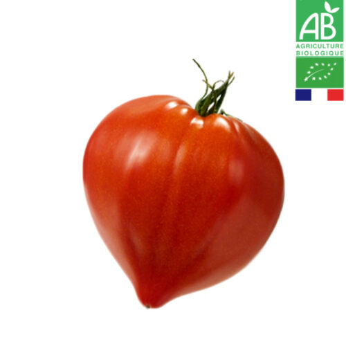 Tomate Cœur de Bœuf Bio De Population
