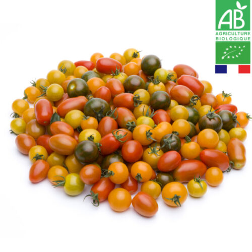 Tomate Cerise Multicolore Bio
