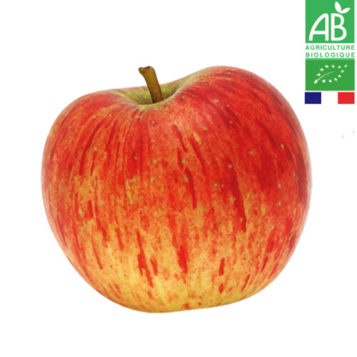 Pomme Reine des Reinettes Bio 1kg