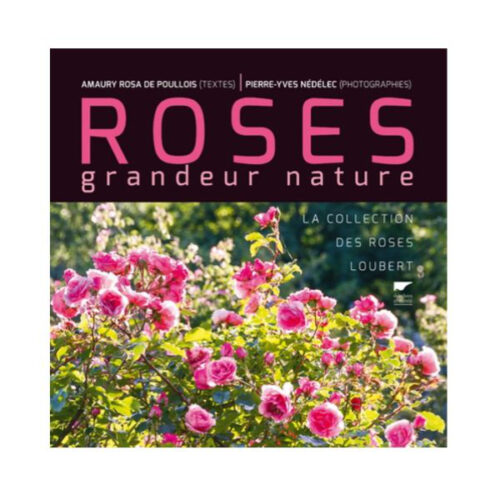 Roses Grandeur Nature DELACHAUX ET NIESTLE