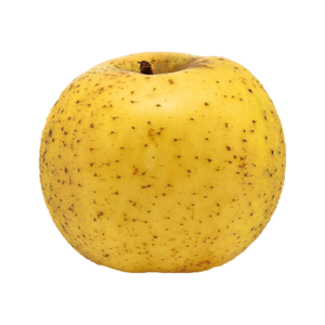 Pomme Chanteclerc Bio