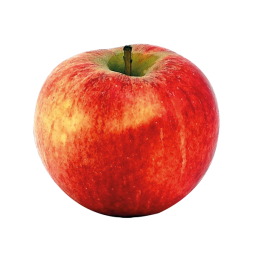 Pomme Reinette d'Armorique